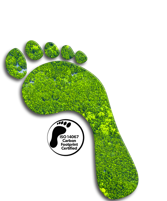 Carbon Footprint