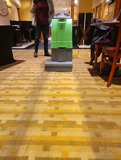 IPC Carpet Cleaning 2